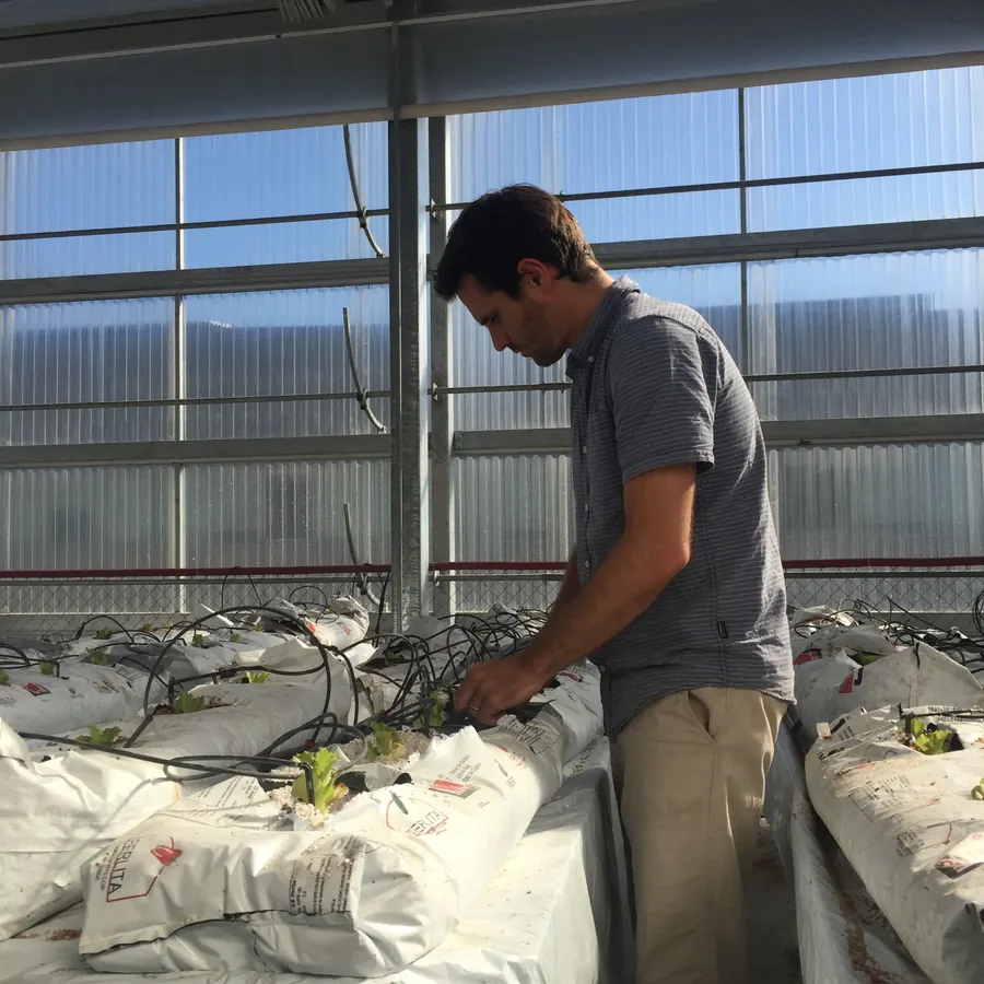Ramón en el invernadero del ICTA-UAB, donde desarrolló su tesis de máster sobre cultivo hidropónico